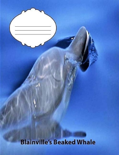 Blainville's Beaked Whale Wide Ruled Line Paper Compositiion Book: Whale fans, Elementary Students, Causal writing book, school supplies, Teen Journal