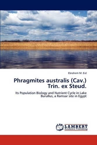 Phragmites australis (Cav.) Trin. ex Steud.