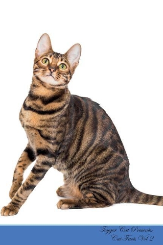 Toyger Cat Presents