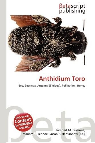 Anthidium Toro: (English)