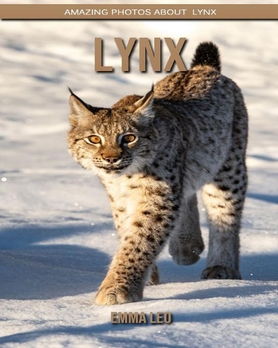 Lynx: Amazing Photos about Lynx