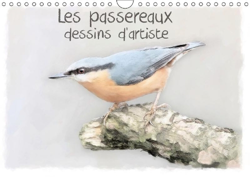 Les passereaux dessins d'artiste 2019