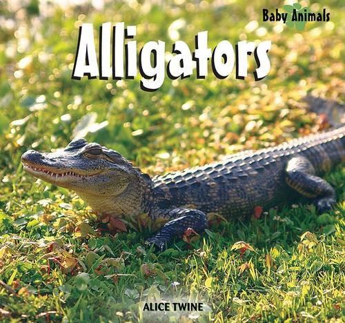 Alligators