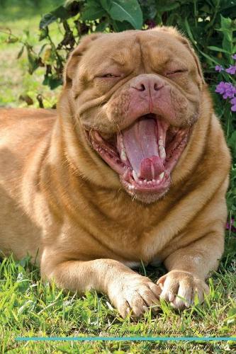 French Mastiff (Dogue de Bordeaux) Affirmations Workbook French Mastiff (Dogue de Bordeaux) Presents
