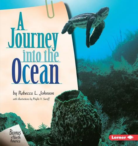 A Journey Into the Ocean