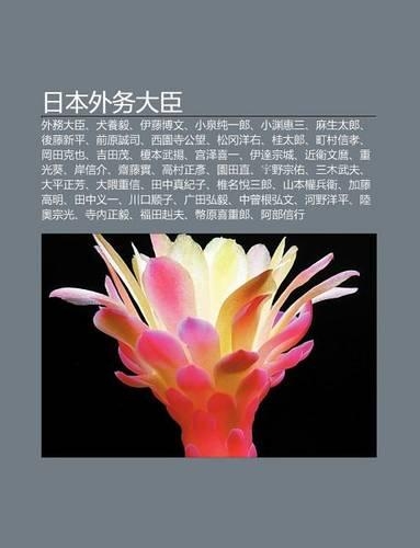 Ri B N Wai Wu Da Chen