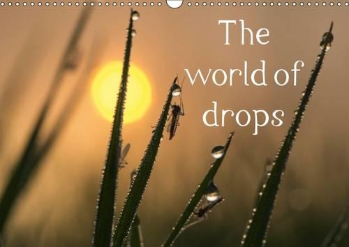 The World of Drops 2017: Discover the Beautiful World of Drops(Calvendo Nature)