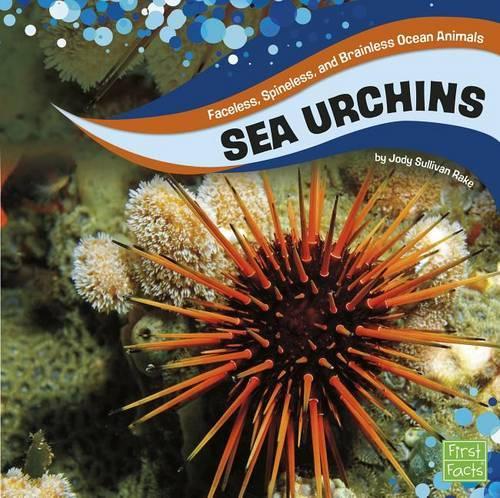 Faceless, Spineless, and Brainless Ocean Animals Sea Urchins