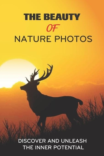 The Beauty Of Nature Photos