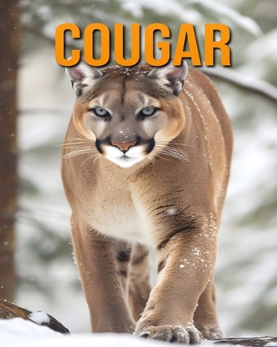 Cougar