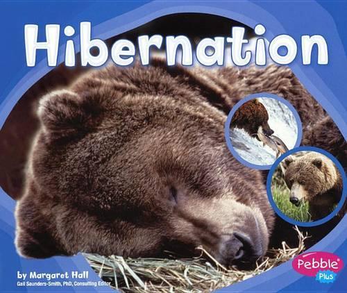 Hibernation