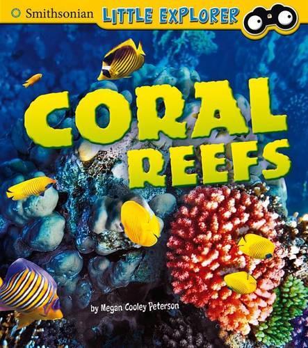 Little Scientist Coral Reefs