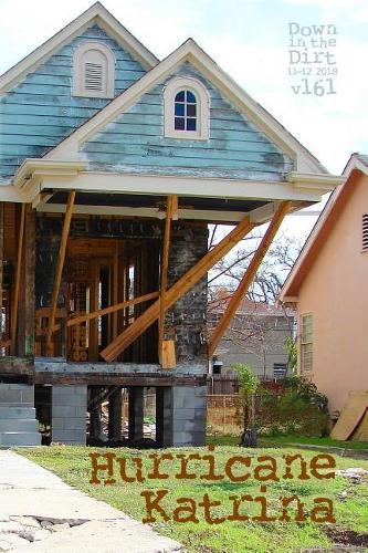 Hurricane Katrina: Down in the Dirt Magazine V. 161 (November-December 2018)