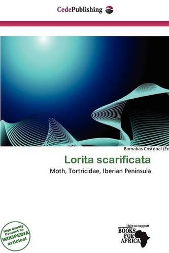 Lorita Scarificata