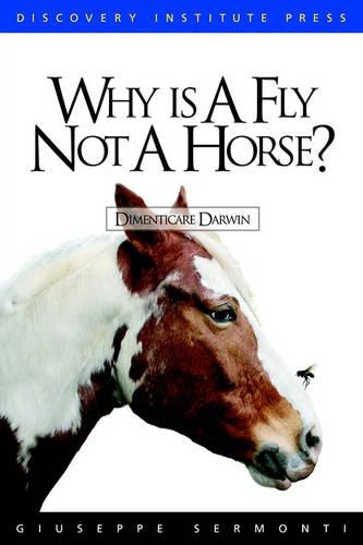 Why is a Fly Not a Horse?: (English)