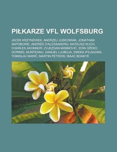 Pi Karze Vfl Wolfsburg: Jacek Krzynowek, Andrzej Juskowiak, Jonathan Akpoborie, Andres D'Alessandro, Mateusz Klich, Charles Akonnor, Zvjezdan Misimovi, Edin D Eko, Dorinel (Polish)