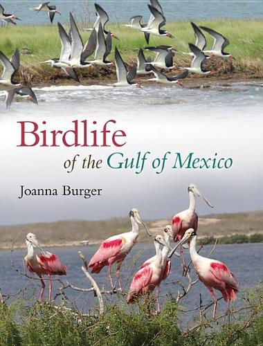 Birdlife of the Gulf of Mexico