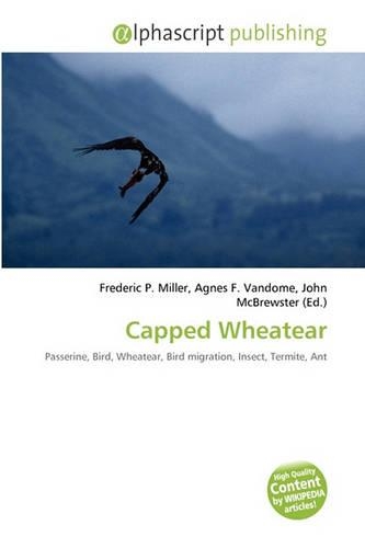 Capped Wheatear: (English)
