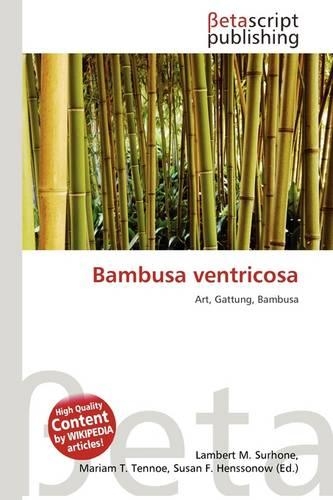 Bambusa Ventricosa