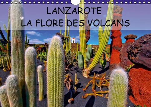 LANZAROTE LA FLORE DES VOLCANS 2019: LANZAROTE DES CHAMPS DE LAVE NATURELLEMENT FERTILES(Calvendo Places)