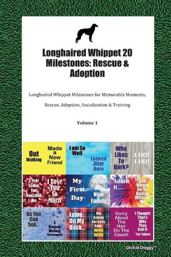Longhaired Whippet 20 Milestones