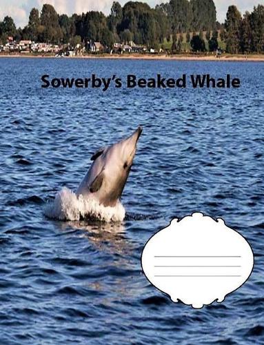 Sowerby's Beaked Whale Wide Ruled Line Paper Composition Book: Whale Fan, Elementary Students, Elderly notebooks, Teen journals, Visual impaired