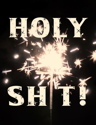 Holy Sh*t!