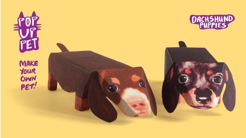 Pop Up Pet Dachshund Puppies