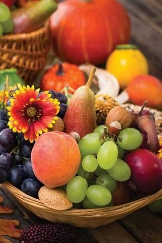 Autumn Harvest Bounty 5 Journal