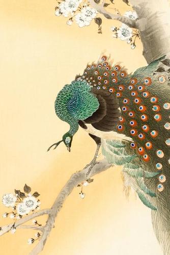 Pfau: Designer Notizbuch, Tagebuch für Künstler, Japan Notebook, Notizheft etwa A5 (15,3 x 22,9 cm), liniert mit Motiv: "Pfau" von Ohara Koson