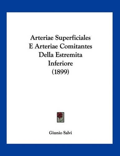 Arteriae Superficiales E Arteriae Comitantes Della Estremita Inferiore (1899)