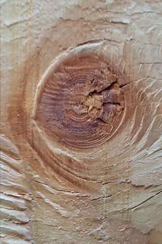 2020 Weekly Planner Wood Knot 134 Pages