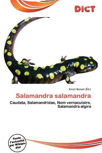 Salamandra