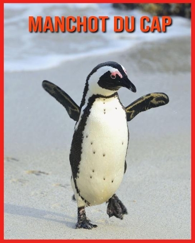 Manchot du Cap
