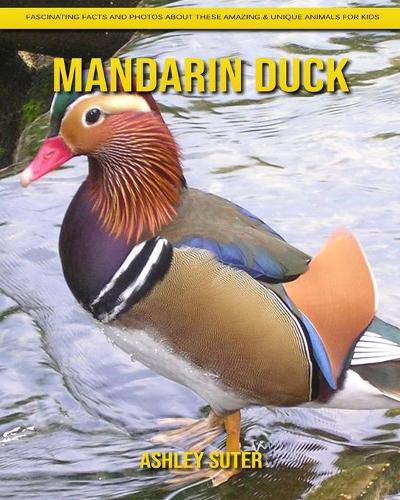 Mandarin Duck
