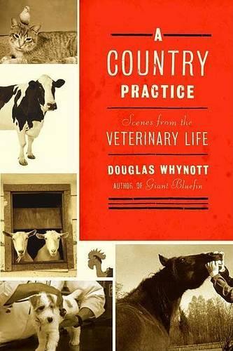 A Country Practice: Scenes from the Veterinary Life