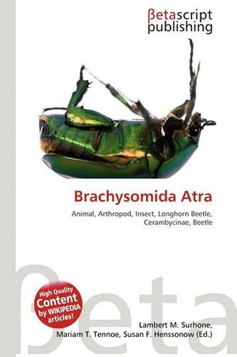 Brachysomida Atra: (English)