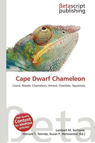 Cape Dwarf Chameleon