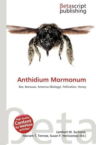 Anthidium Mormonum: (English)