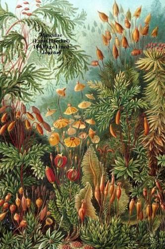 Muscinae (Ernst Haeckel) 100 Page Lined Journal: Blank 100 Page Lined Journal for Your Thoughts, Ideas, and Inspiration(English)