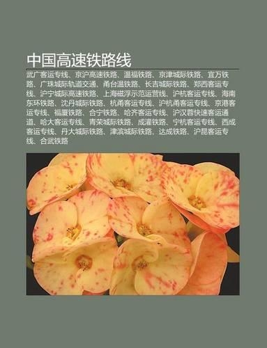 Zh Ng Guo G O Su Ti Lu Xian