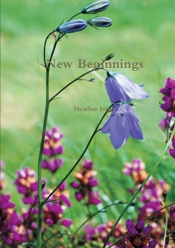 New Beginnings: (English)