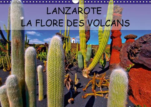 LANZAROTE LA FLORE DES VOLCANS 2019: LANZAROTE DES CHAMPS DE LAVE NATURELLEMENT FERTILES(Calvendo Places)