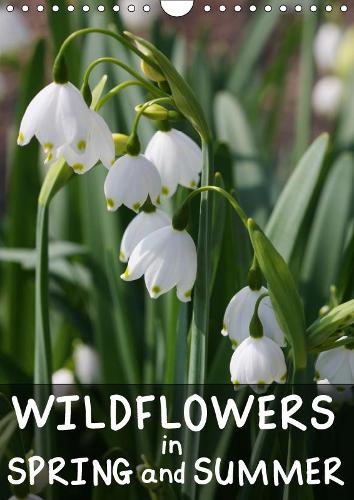 Wildflowers in Spring and Summer 2019