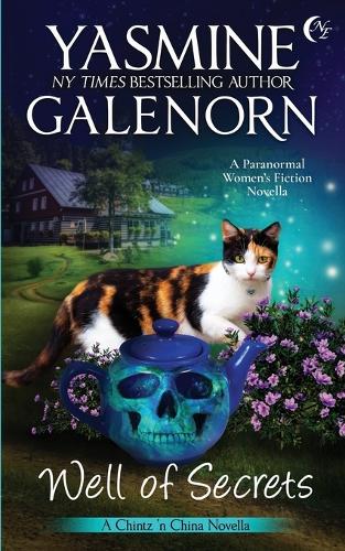 Well of Secrets: A Paranormal Women's Fiction Novella(7 Chintz 'n China)