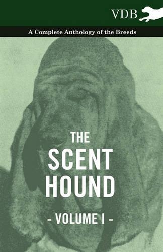 The Scent Hound Vol. I. - A Complete Anthology of the Breeds: (English)