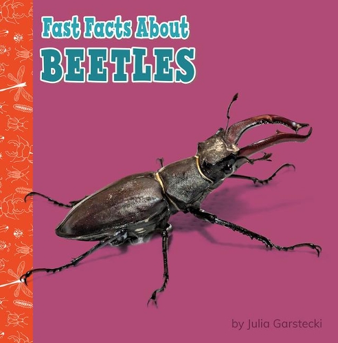 Fast Facts about Beetles: (Fast Facts about Bugs & Spiders)