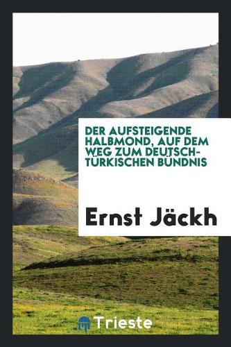 Der Aufsteigende Halbmond, Auf Dem Weg Zum Deutsch-Türkischen Bündnis