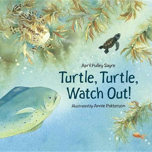 Turtle, Turtle, Watch Out!: (English)
