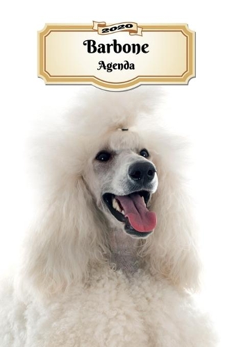 2020 Barbone Agenda: 107 Pagine - Dimensioni DIN A5 - Pianificatore Settimanale - 12 Mesi - Due Pagine Per Settimana - Calendario - Diario - Cane